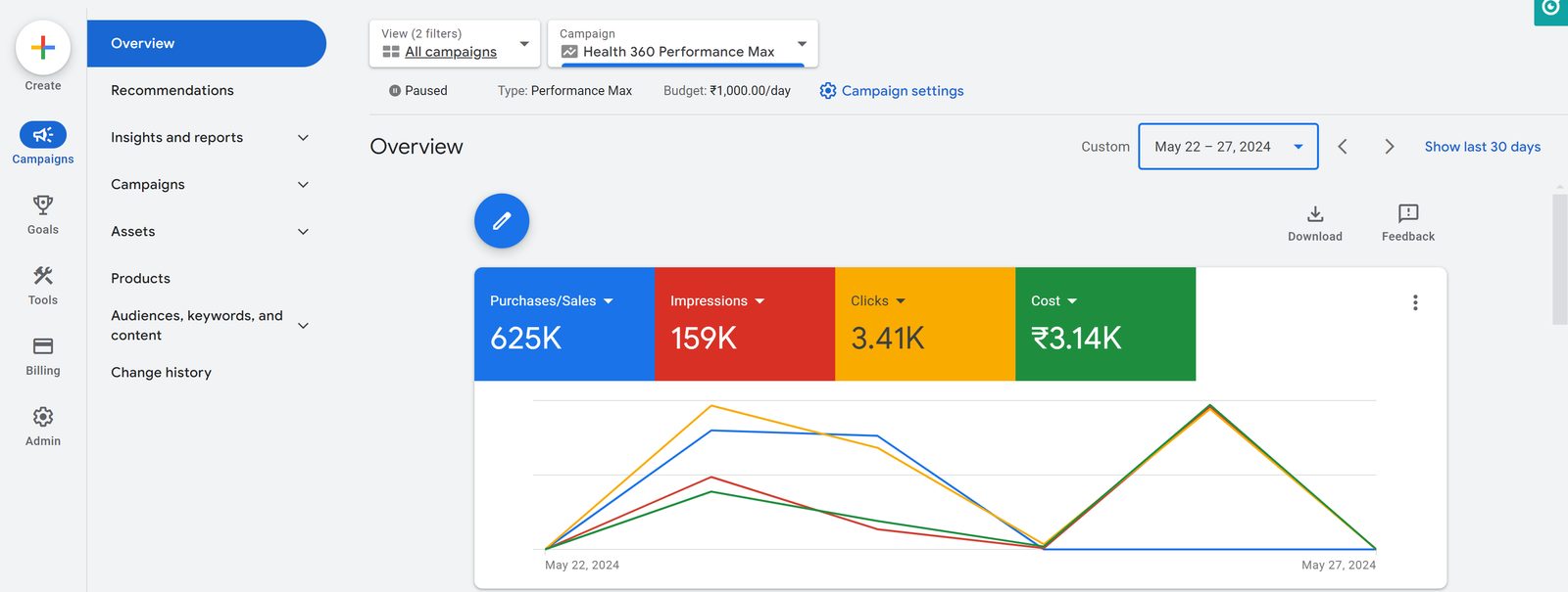 Google Ads overview for AE Naturals - conversions, clicks, ROAS and cost tracked per campaign